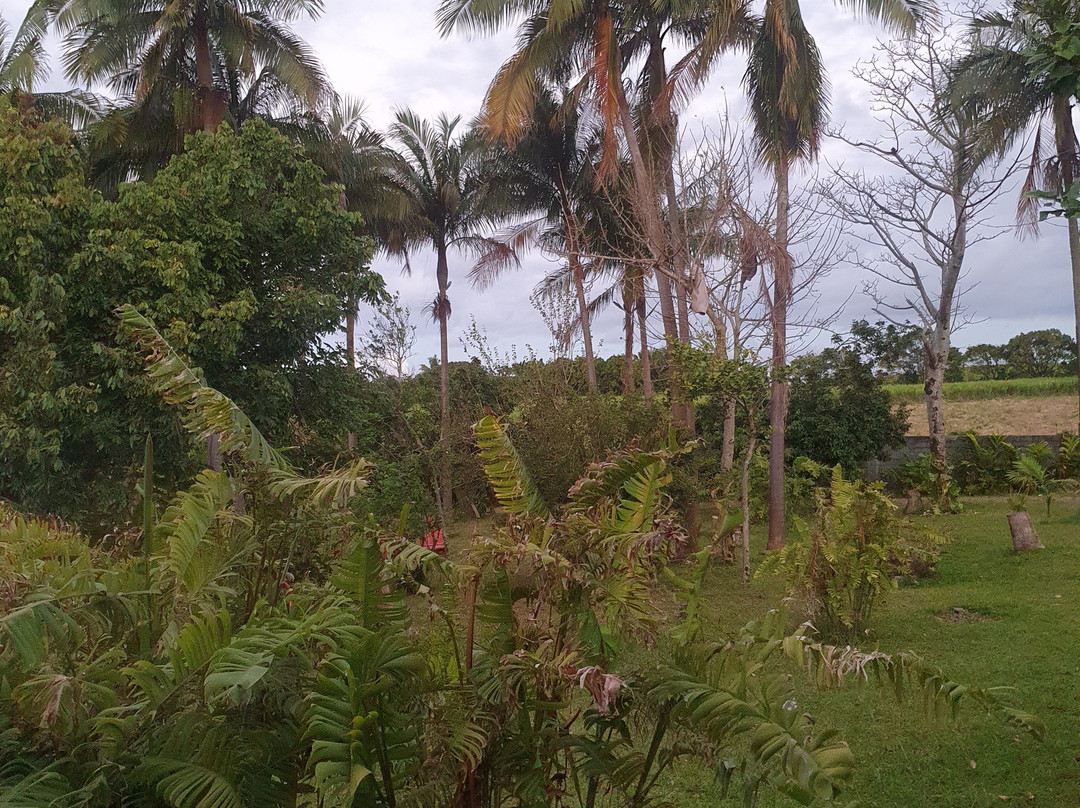 Auberge Du Desert主图