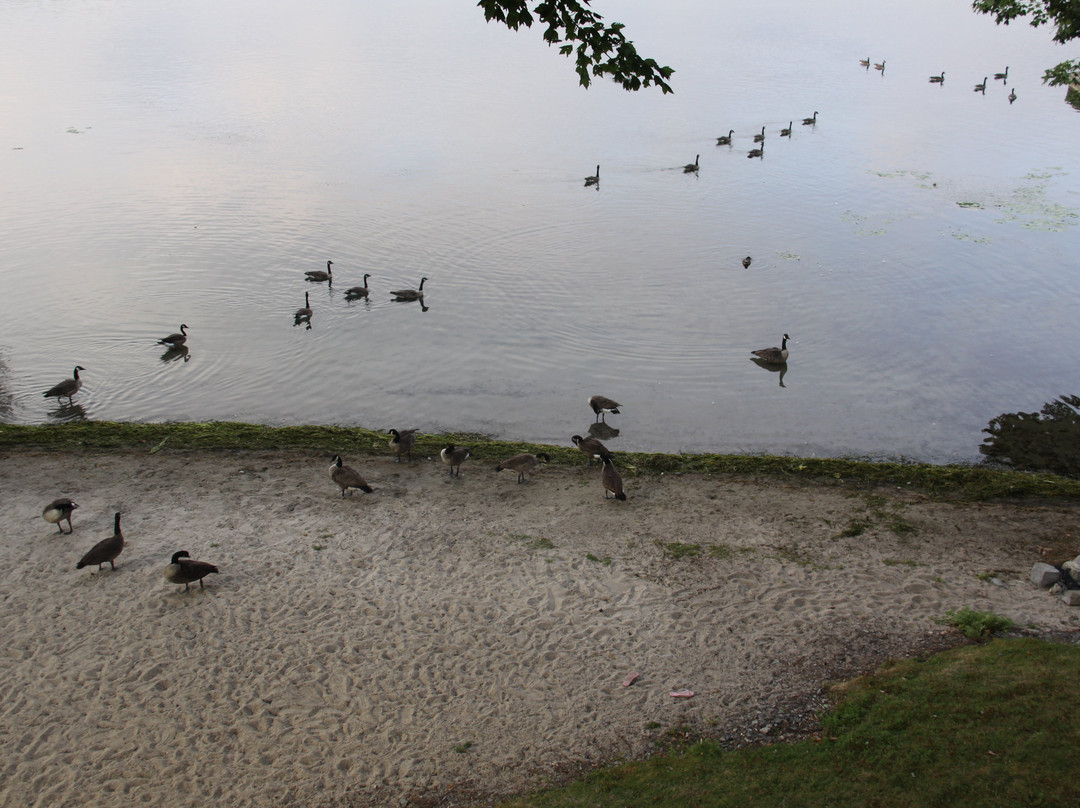 Glen House Resort主图