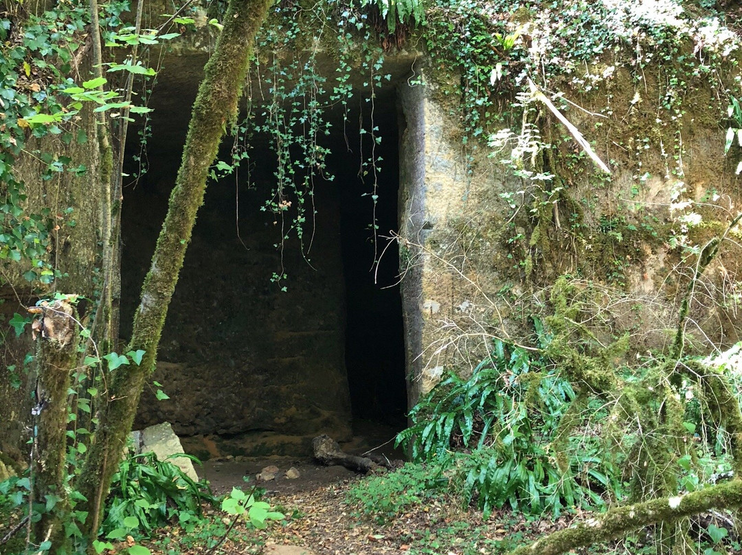 Gisement préhistorique du Ruth景点图片