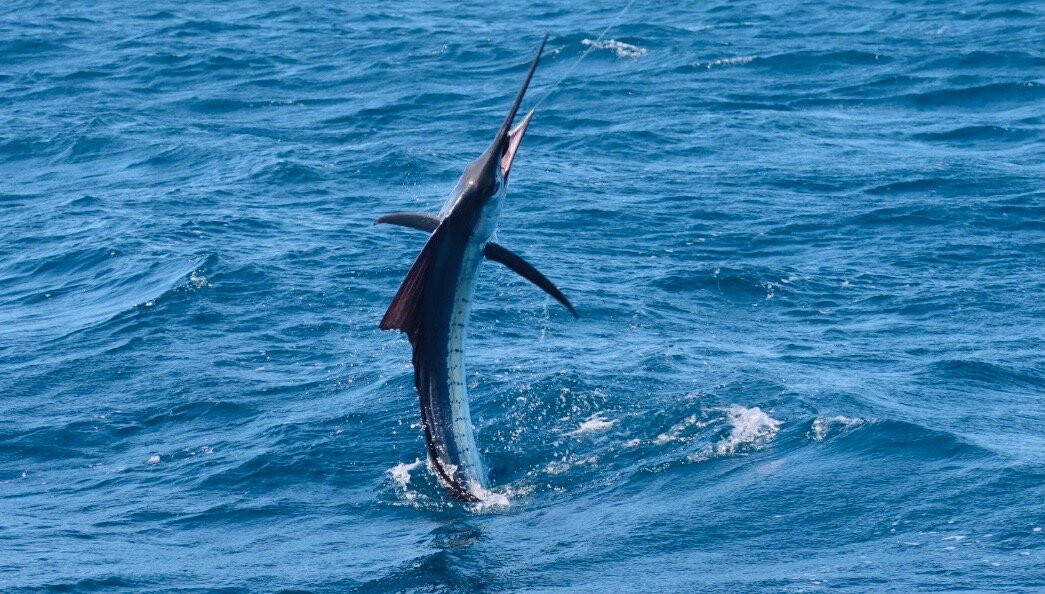 圣卢西亚生态小屋主图