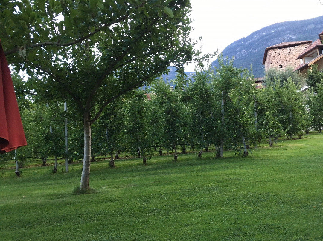 Landgasthof Bad Turmbach主图