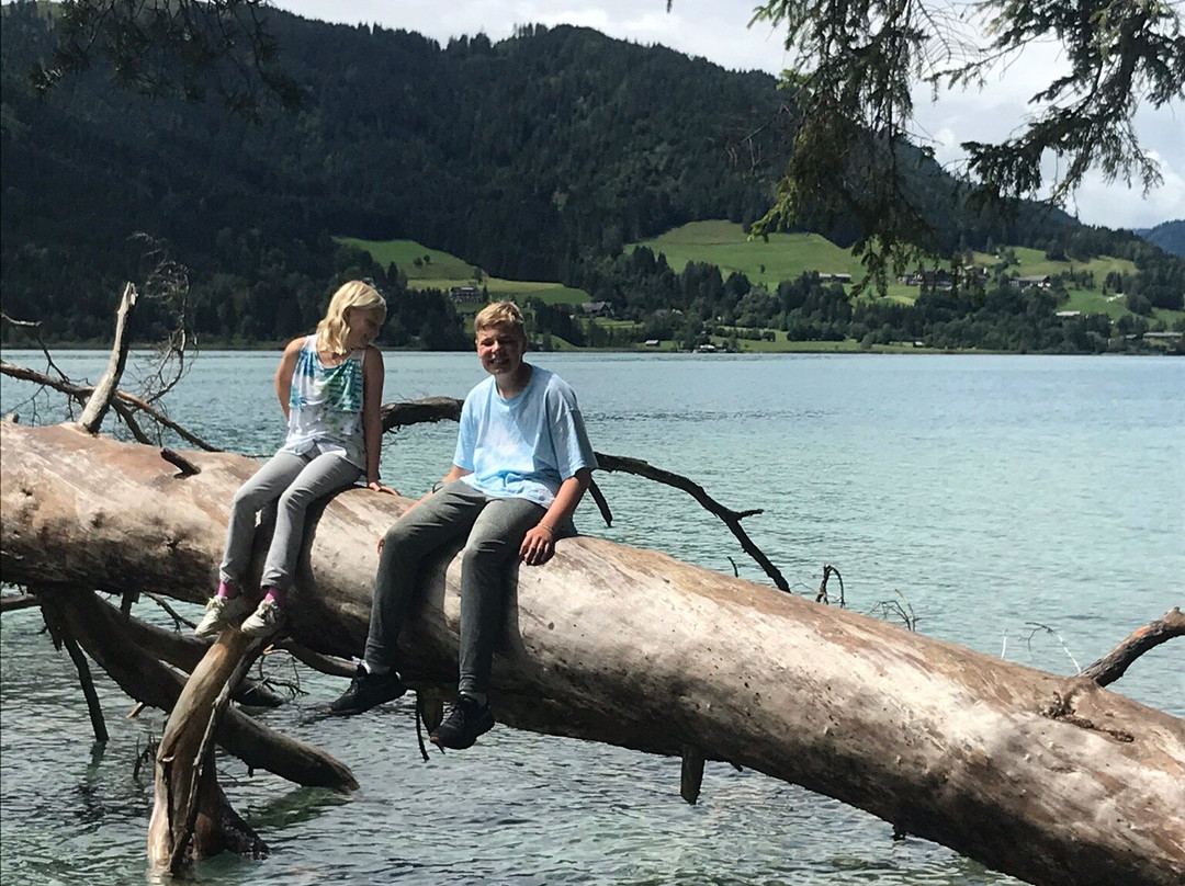 Hotel Waldpension Putz主图