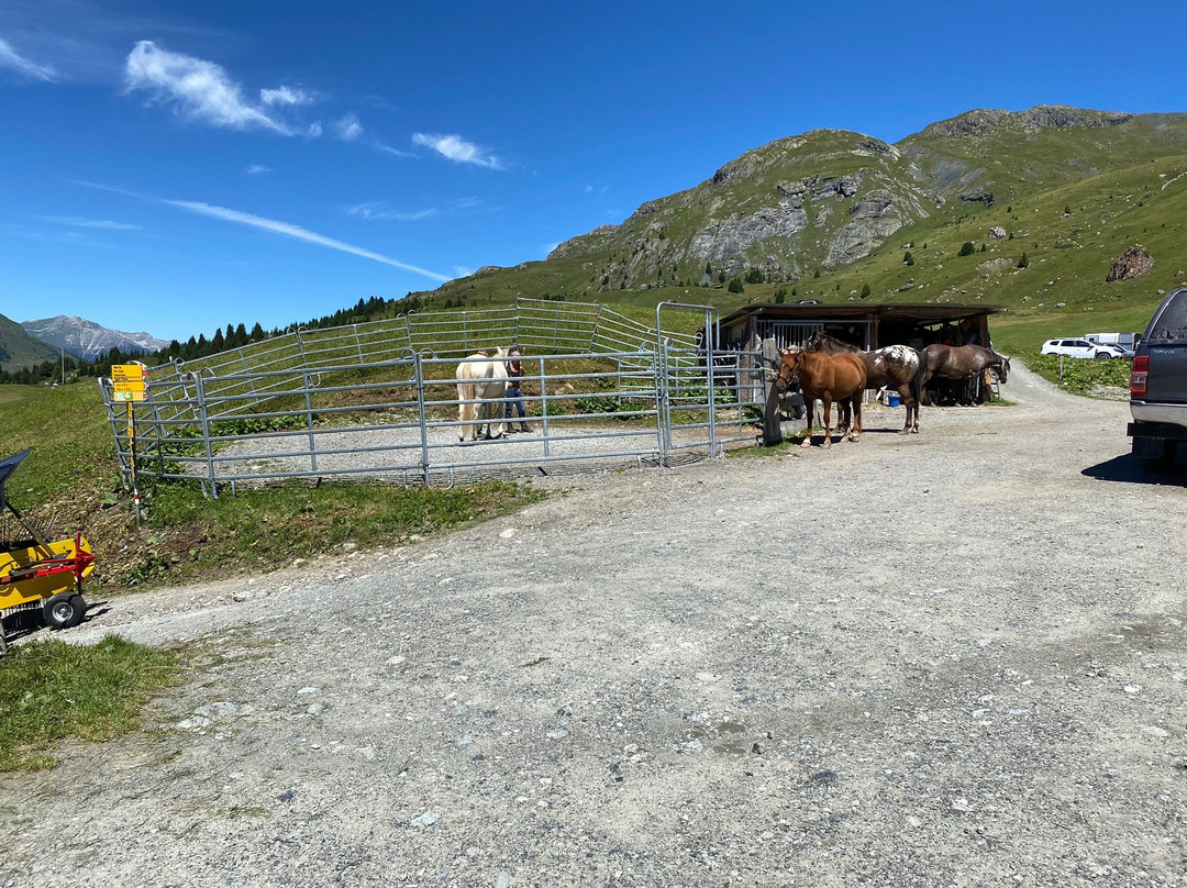 Alp Flix-Sur必去景点