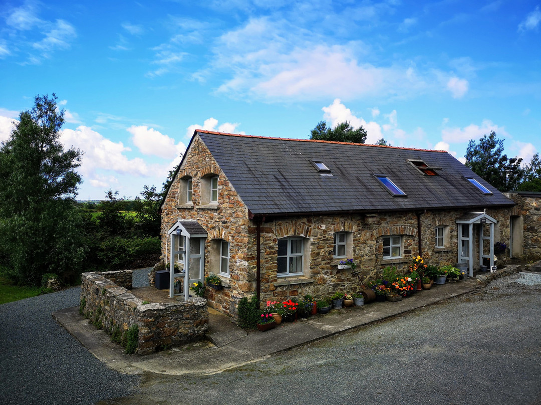 Deri Fawr