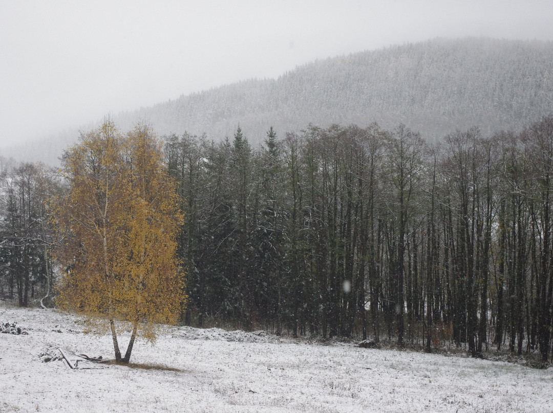Paczyn旅游攻略图片