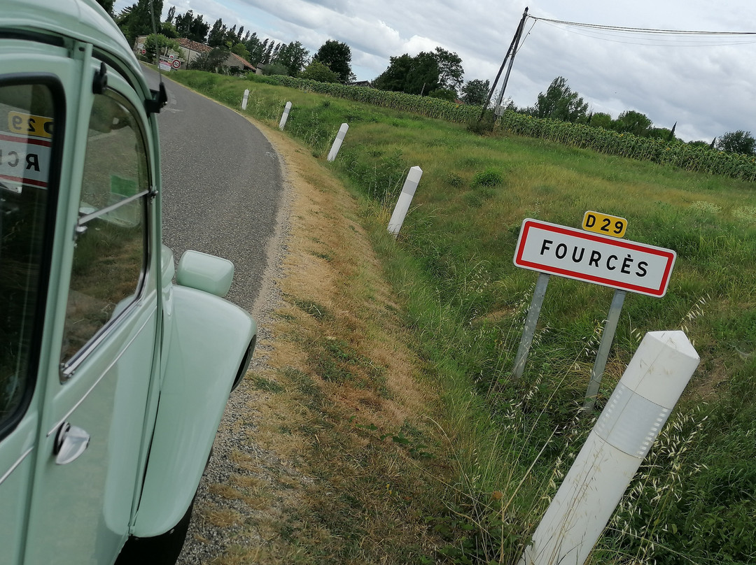 Du Cote De Chez Jeanne主图