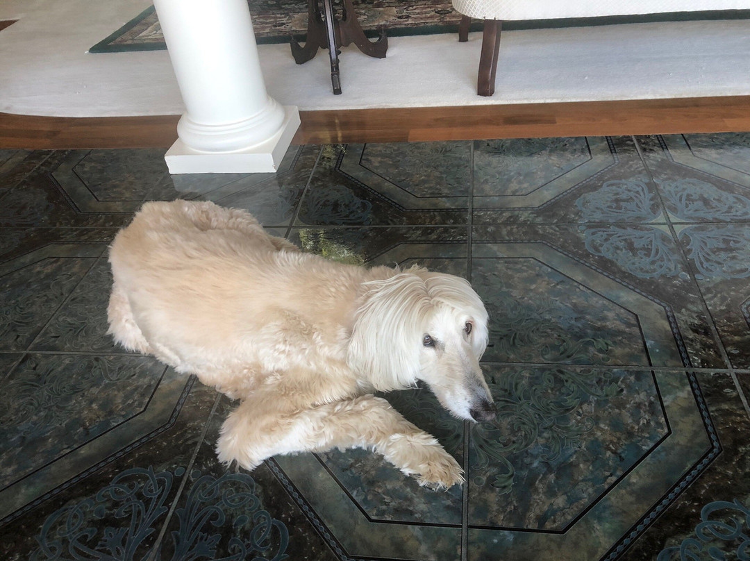 The Blue Heron Guest House on Winona Lake Indiana主图