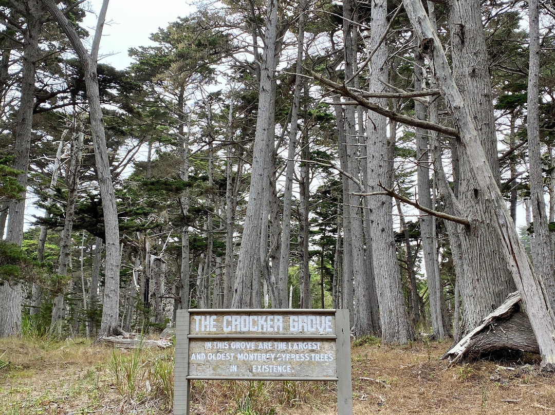 Crocker Grove-圆石滩必去景点