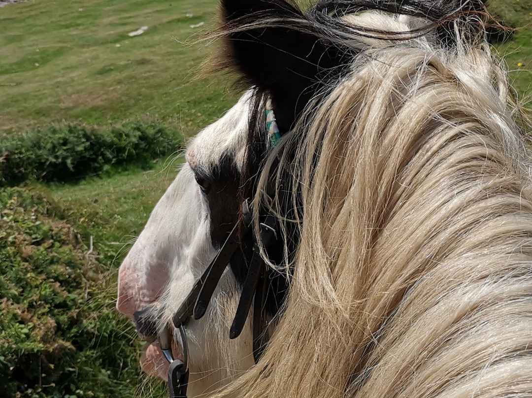 Hoofin-About Horse Riding Holidays-考文垂必去景点