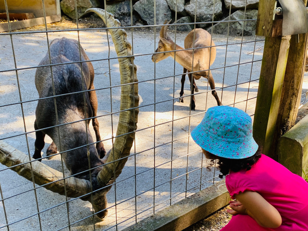 Tierpark Stadt Haag-Haag必去景点
