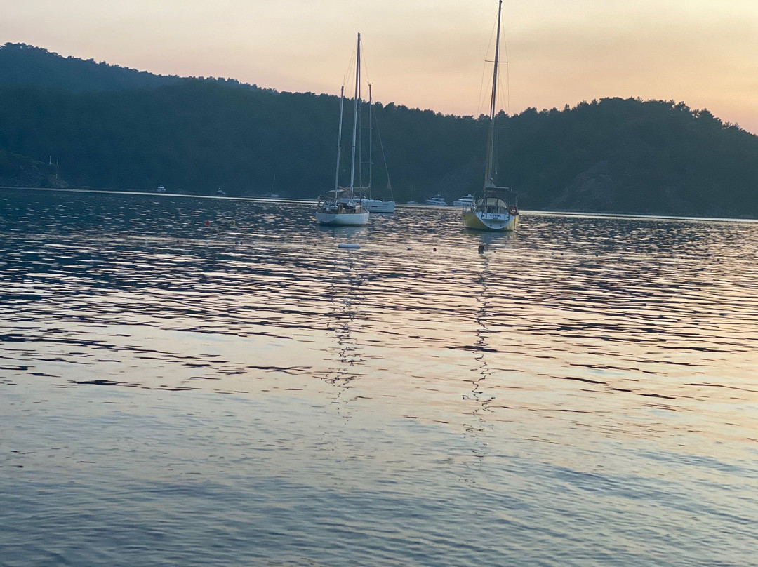 Sakin Vadi Winehouse主图