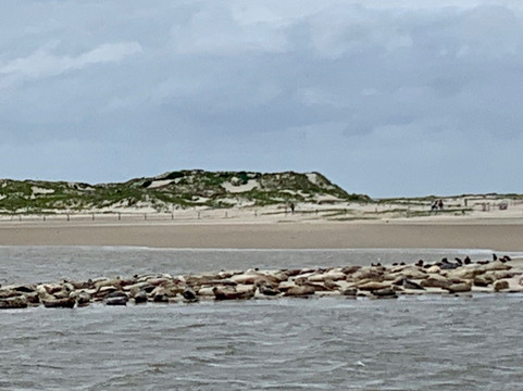 Baltrum Linie-Baltrum必去景点