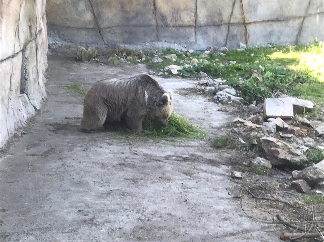 ZOO Hluboká nad Vltavou景点图片