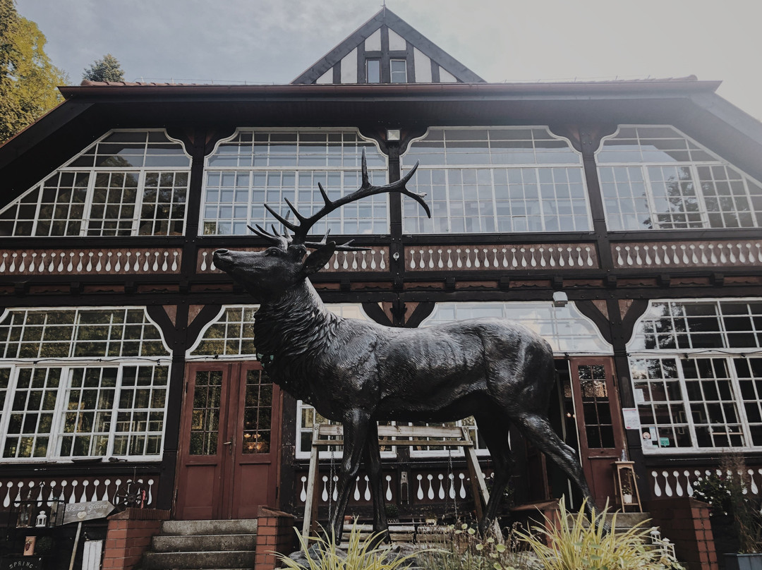 Złoty Jar Guest House主图