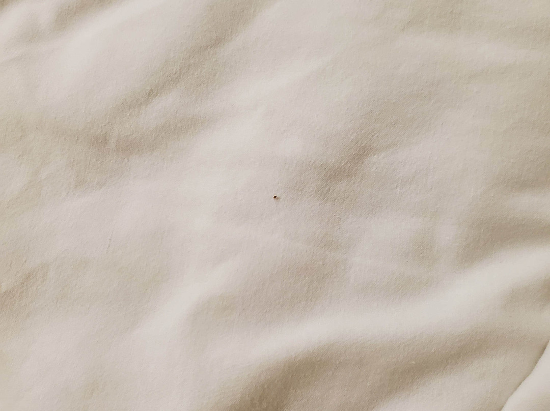 Microtel Inn & Suites by Wyndham Daphne/Mobile主图