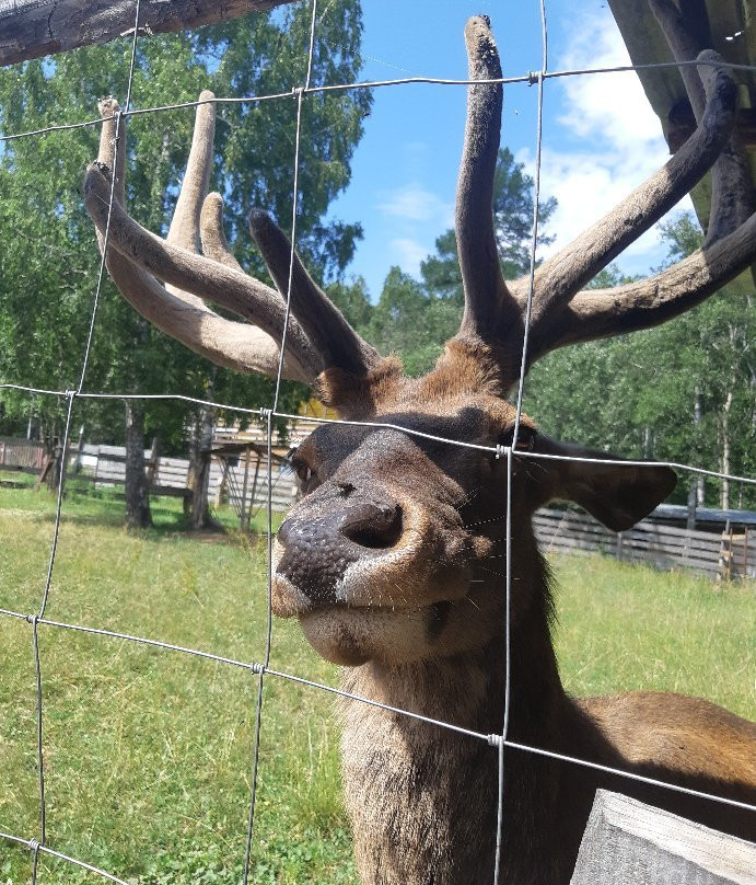 National Park Zuratkul-Satka必去景点