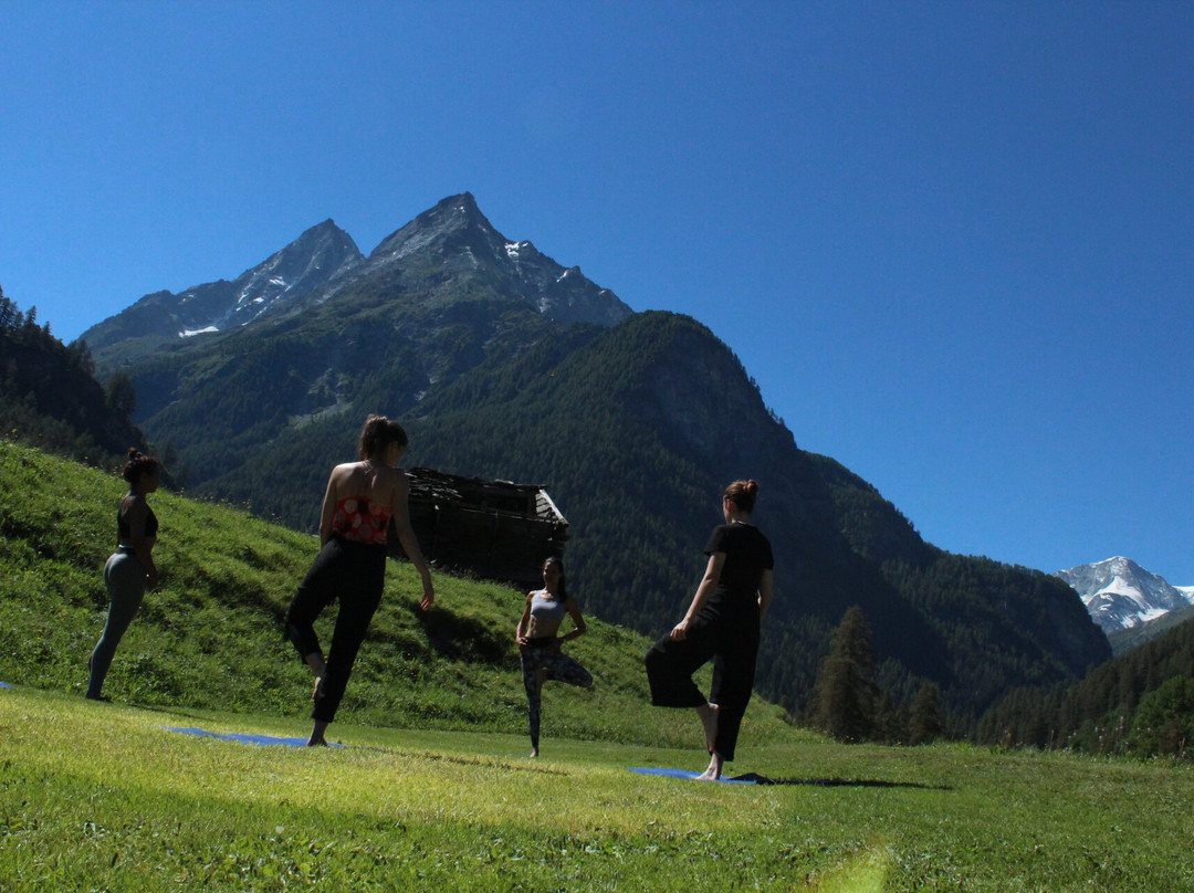 Seva Yoga景点图片