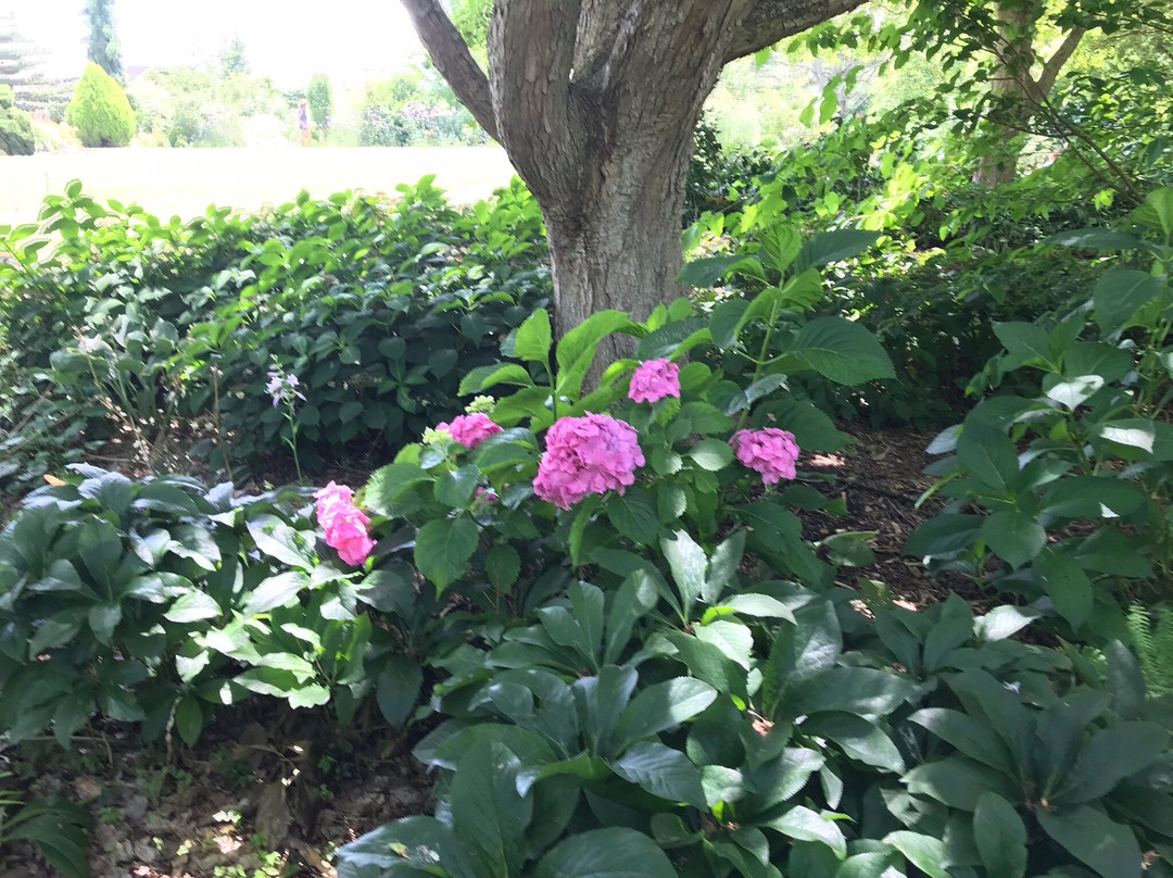 Hahn Horticulture Garden at Virginia Tech景点图片