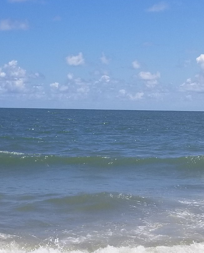 Driessen Beach Park景点图片