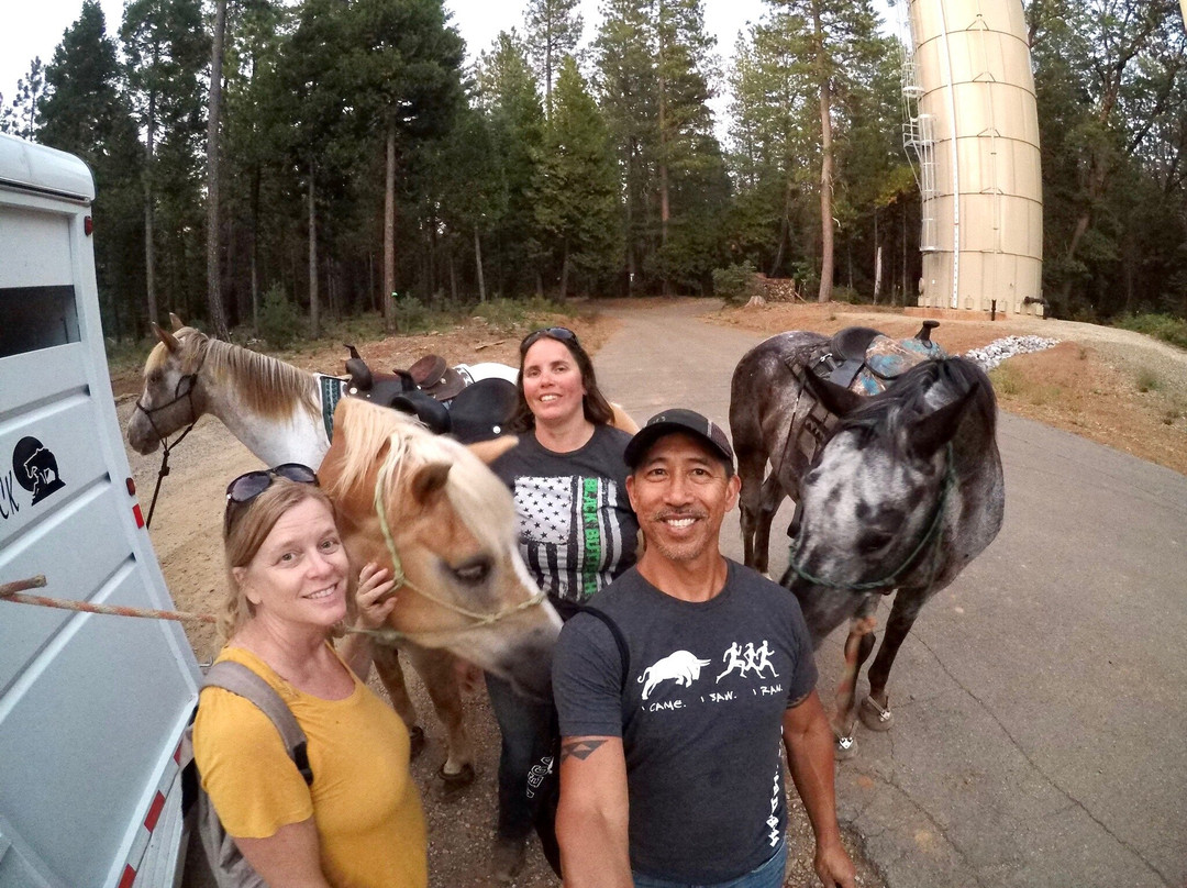 Sheridan Creek Outfitters-Shingletown必去景点