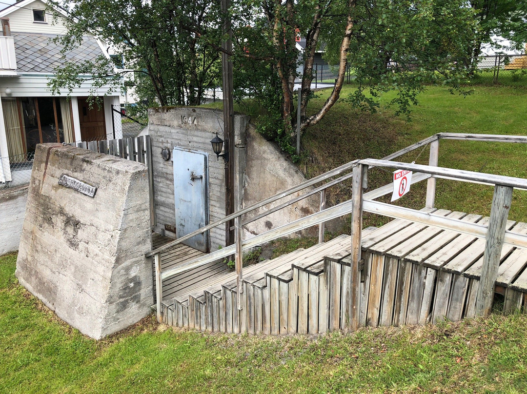 Andersgrotta WWII Bomb Shelter-希尔克内斯必去景点