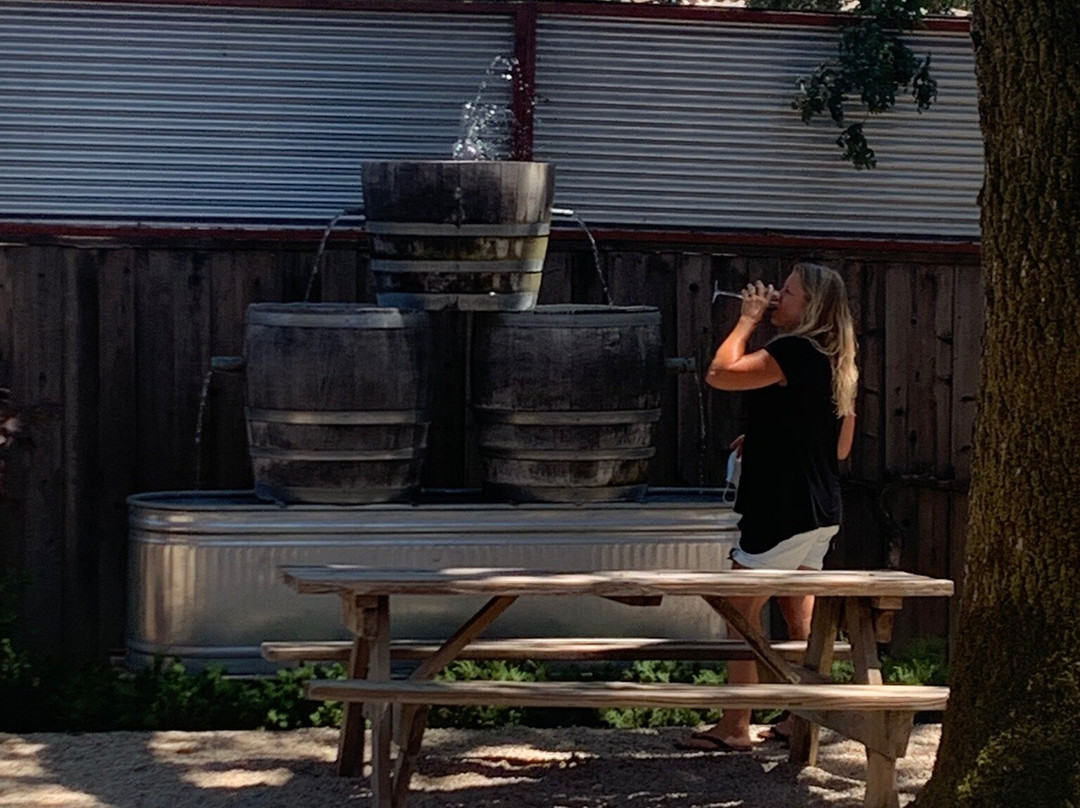 Sonoma Valley Wine Trolley景点图片