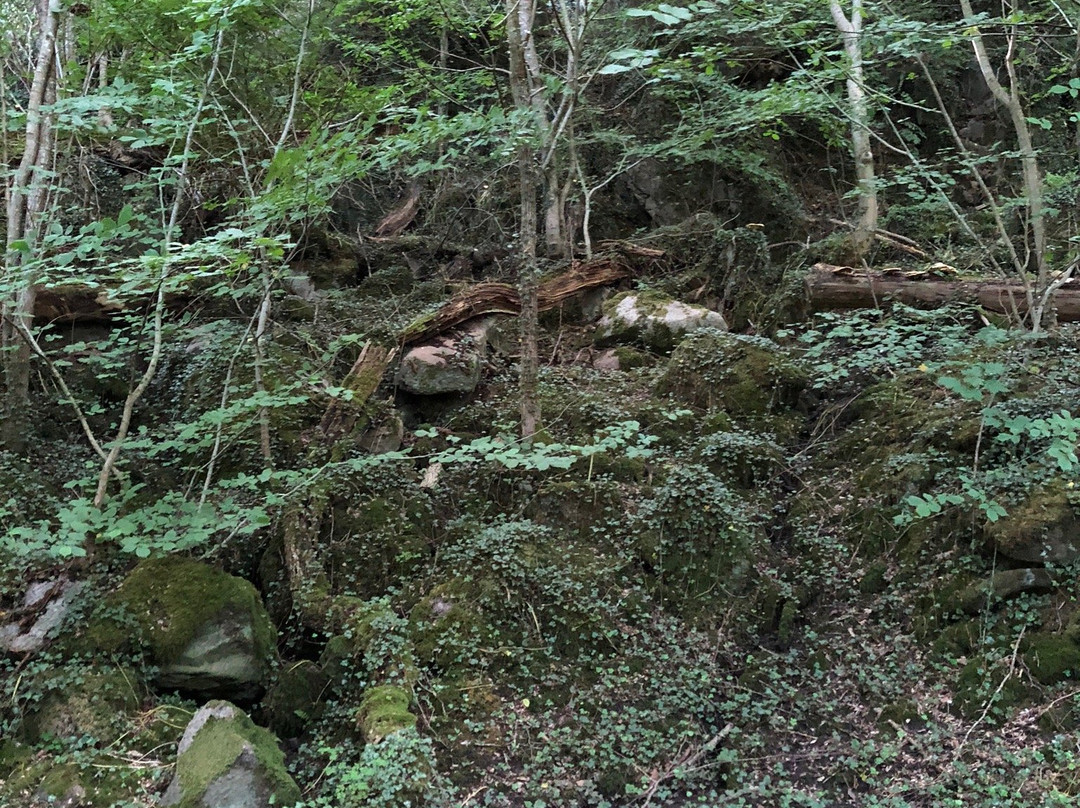 Dondalen-Gudhjem必去景点