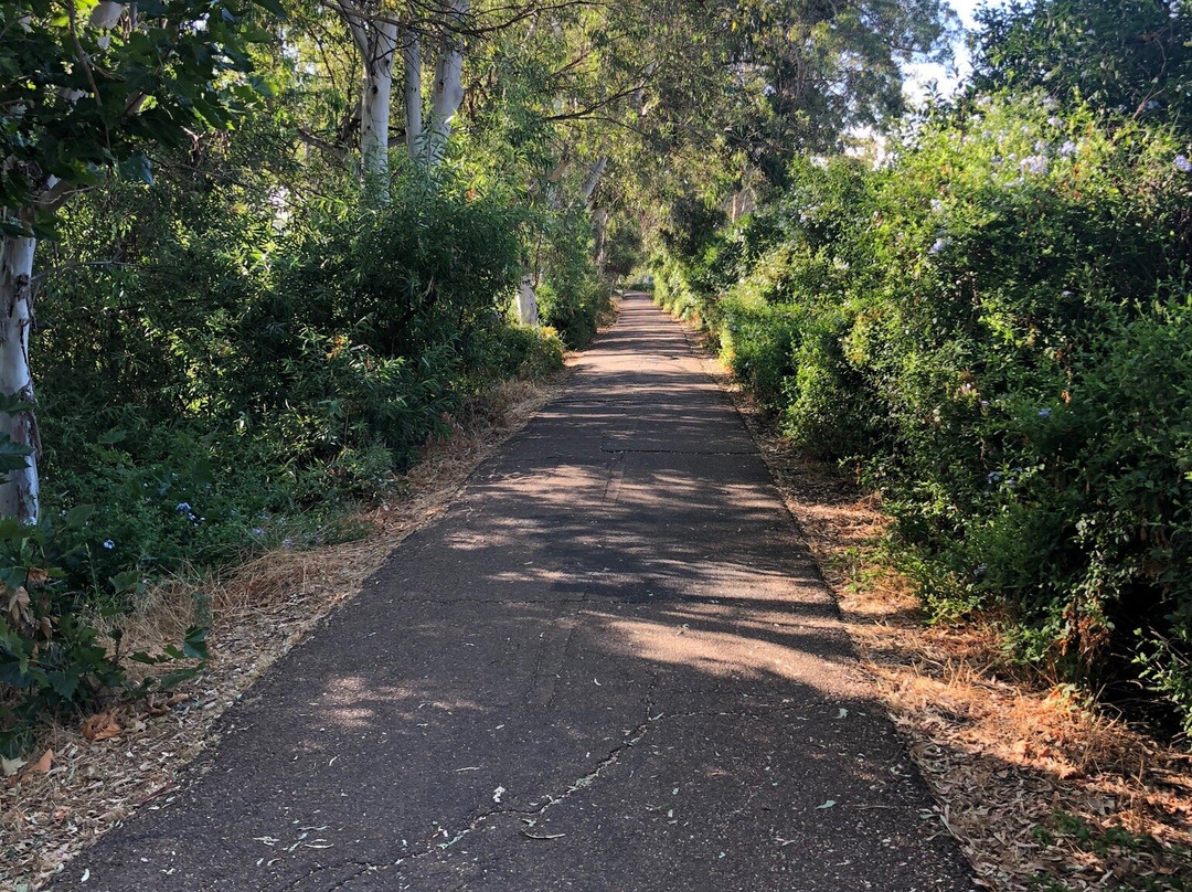 Kit Carson Park景点图片