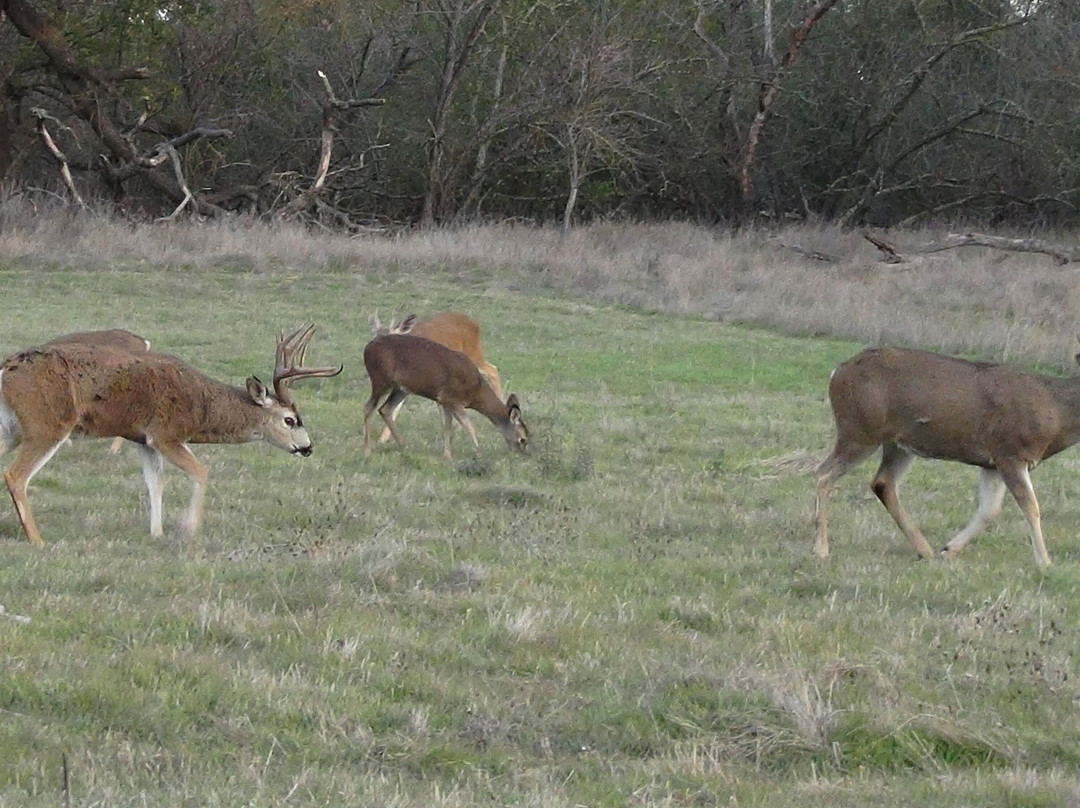 Ancil Hoffman Park-Carmichael必去景点
