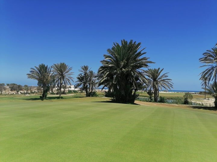 Djerba Golf Club景点图片