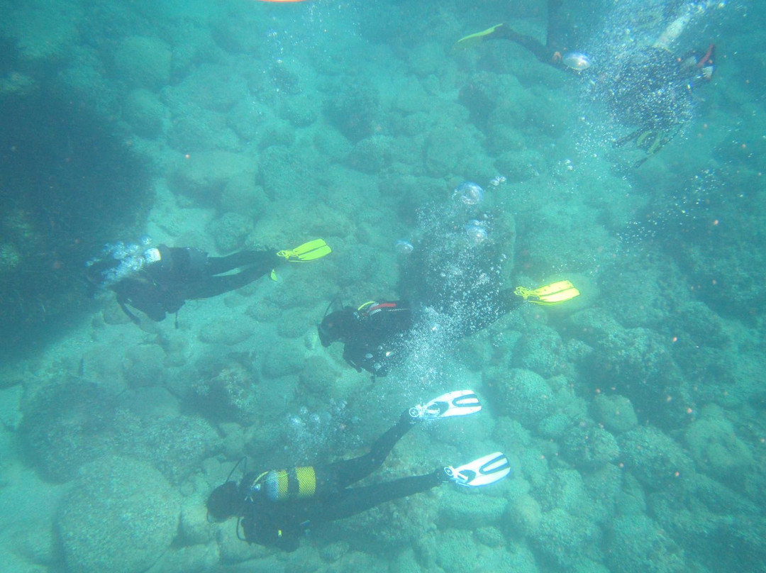Buceo Les Basetes en Calpe-卡尔佩必去景点