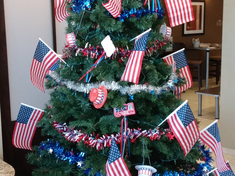 普莱森顿温德姆麦客达套房酒店主图