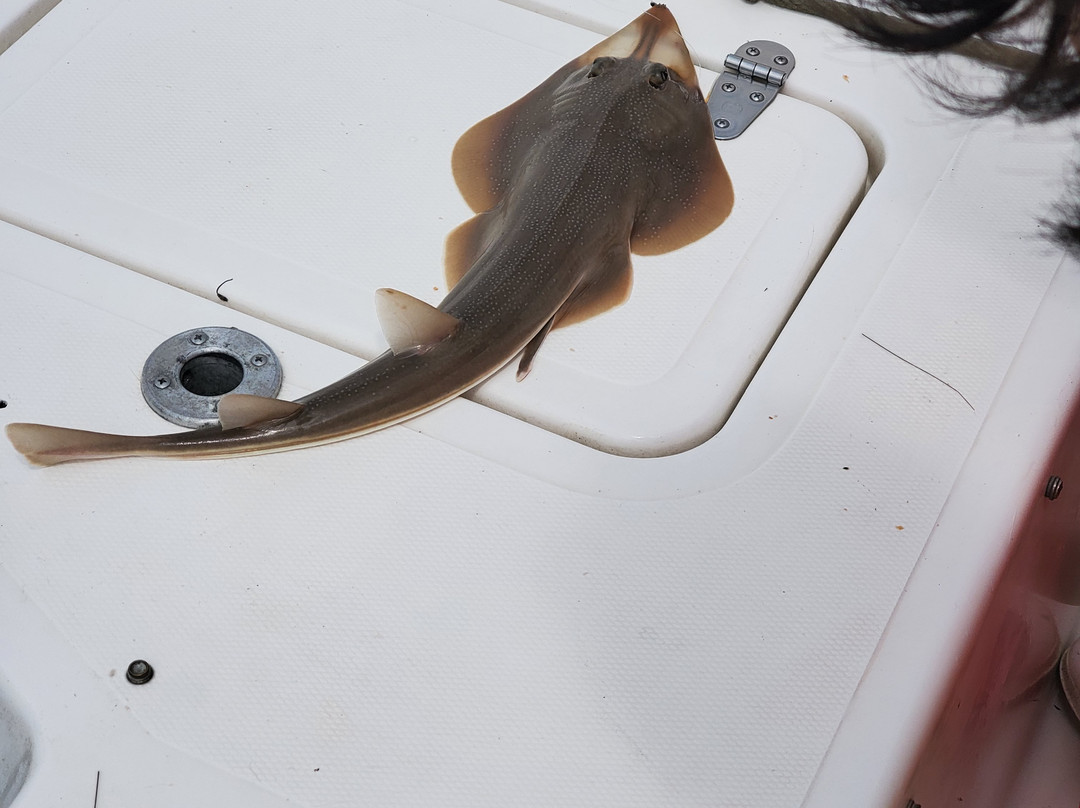 Holy City Fishing Charters-查尔斯顿必去景点