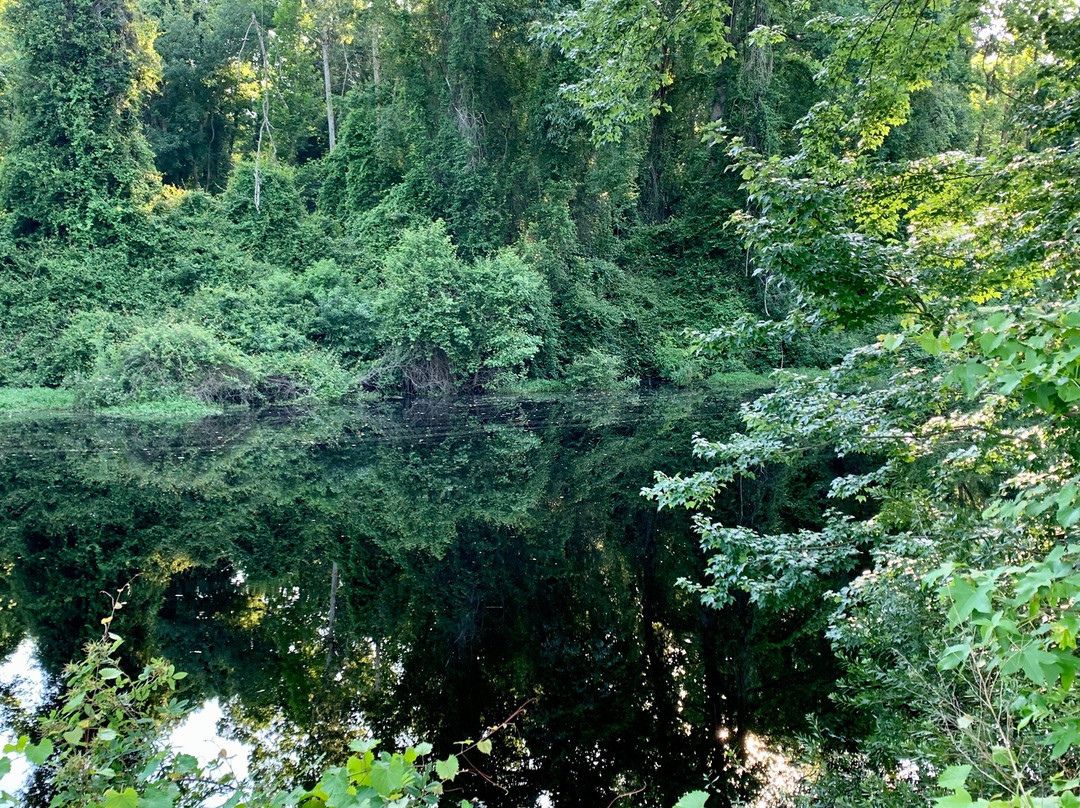 Dismal Swamp Canal Welcome Center景点图片