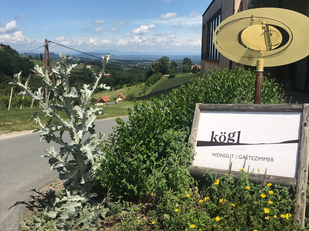 Weingut Kögl主图