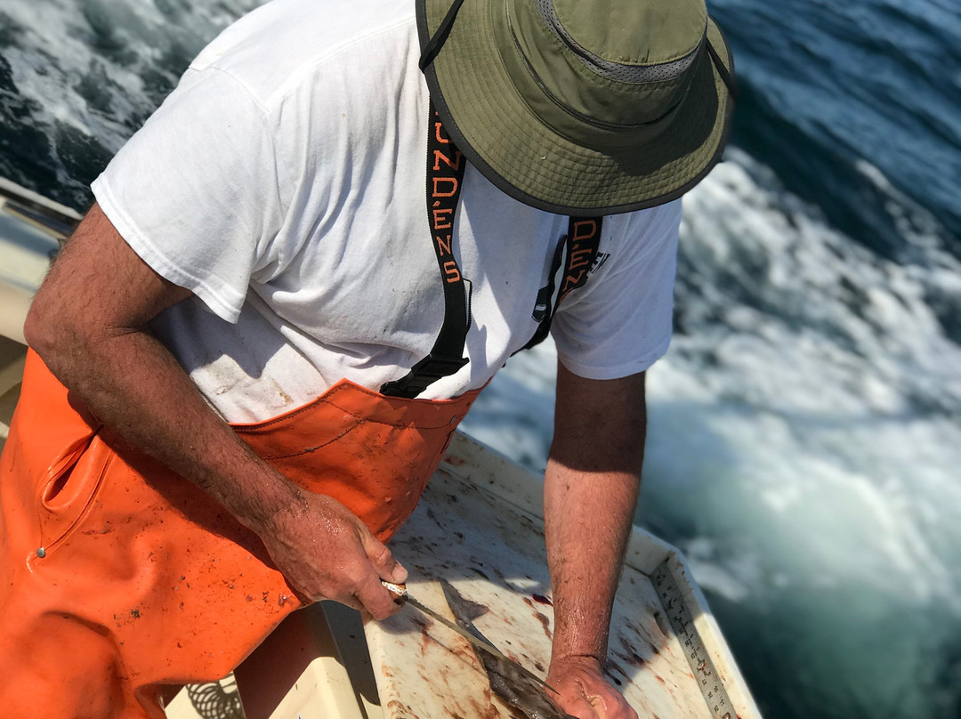 Kraken Tuna Fishing Charters景点图片