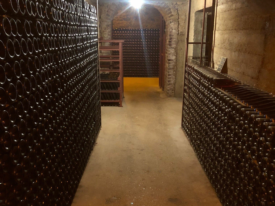 Champagne Alain SUISSE景点图片
