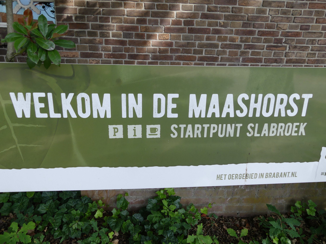 Natuurcentrum De Maashorst景点图片