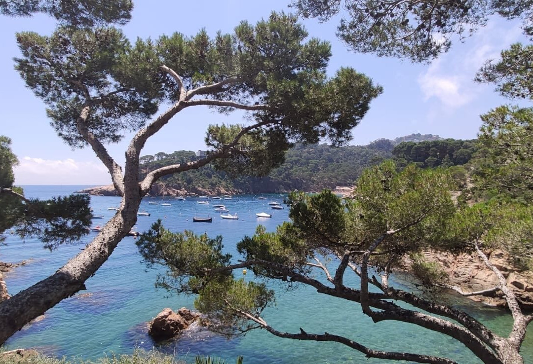 Platja Fonda景点图片