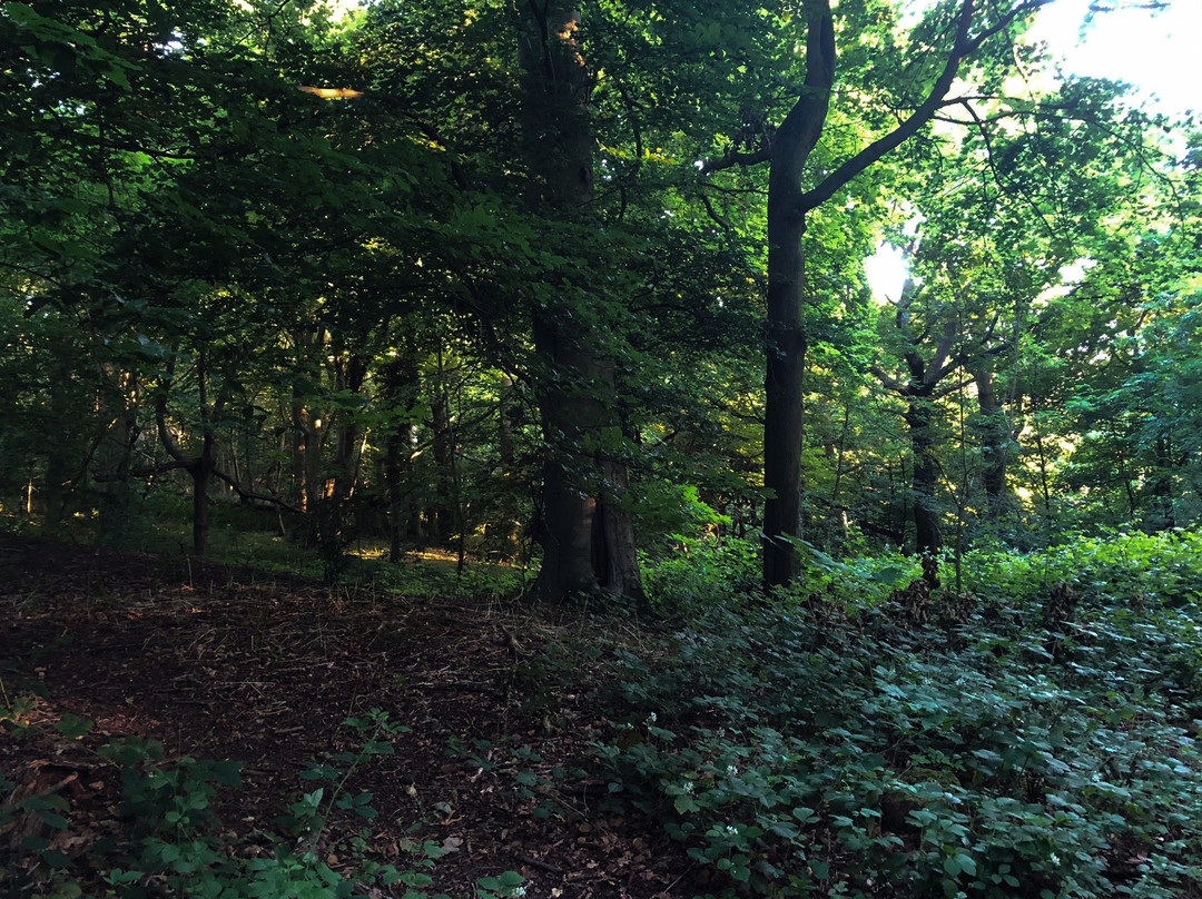Linslade Wood景点图片