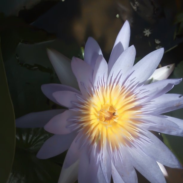 Toursrilankawb-埃勒必去景点