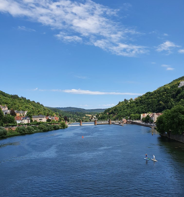 Neckar River-海德尔堡必去景点