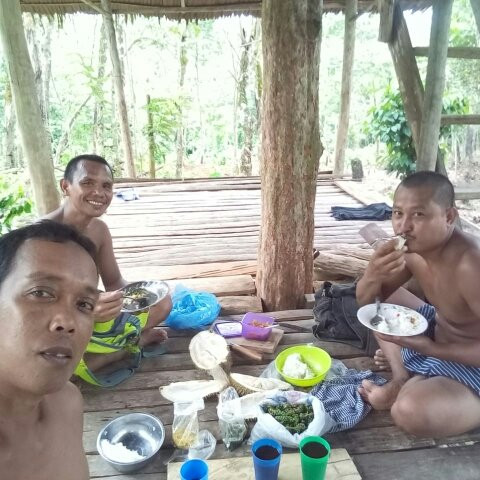 Sumatra trek and village tours-武吉拉旺必去景点