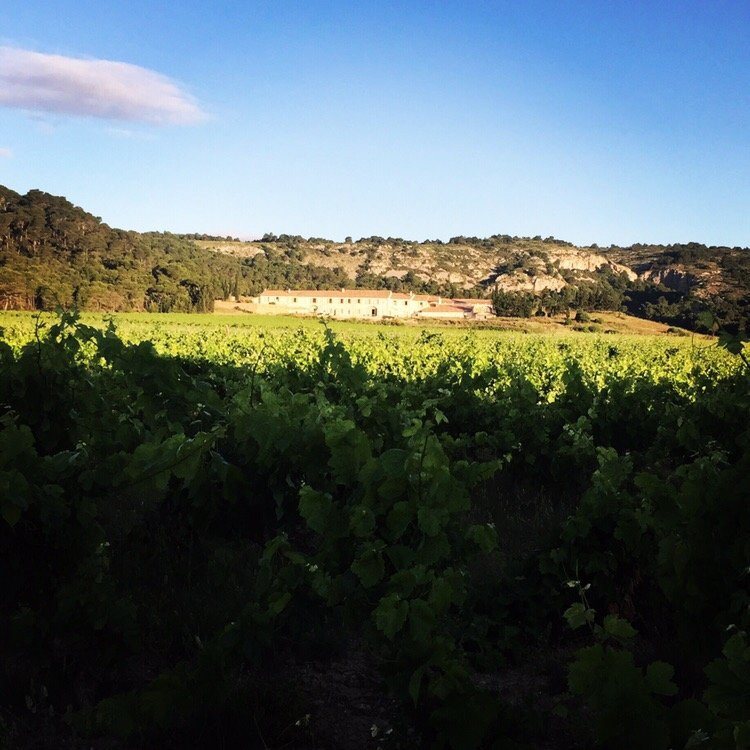 Domaine De Saint Obre主图