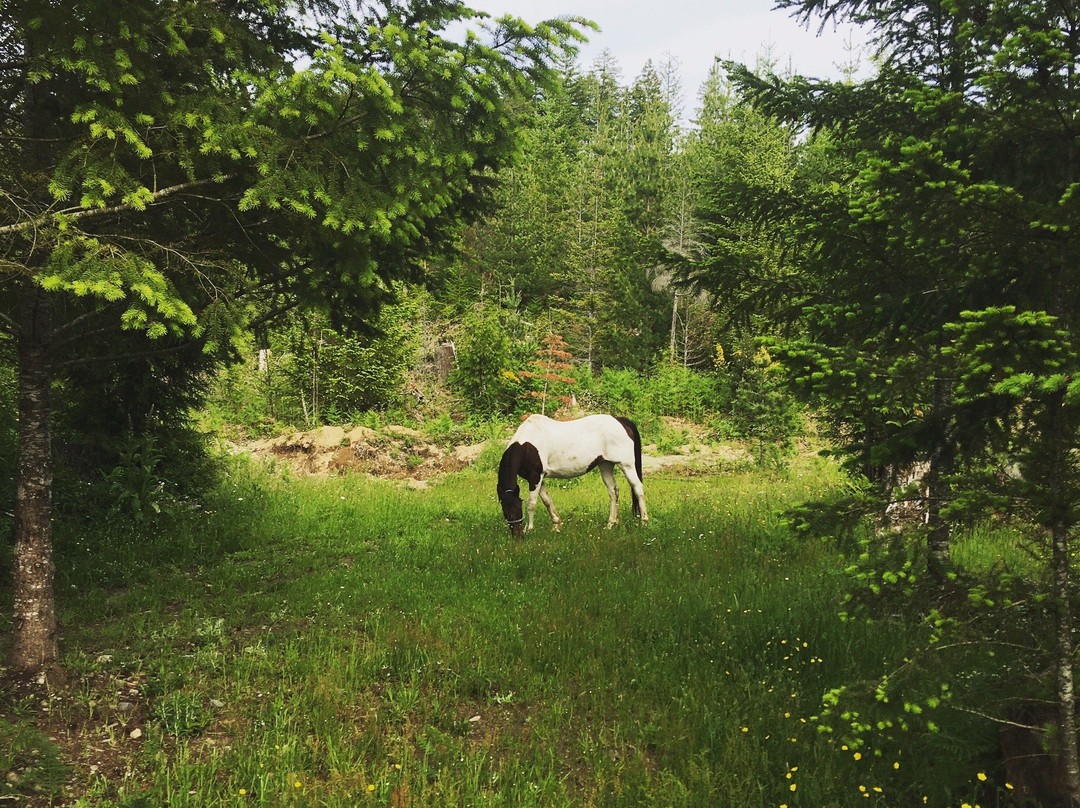 Maple Heart Ranch - Homestead