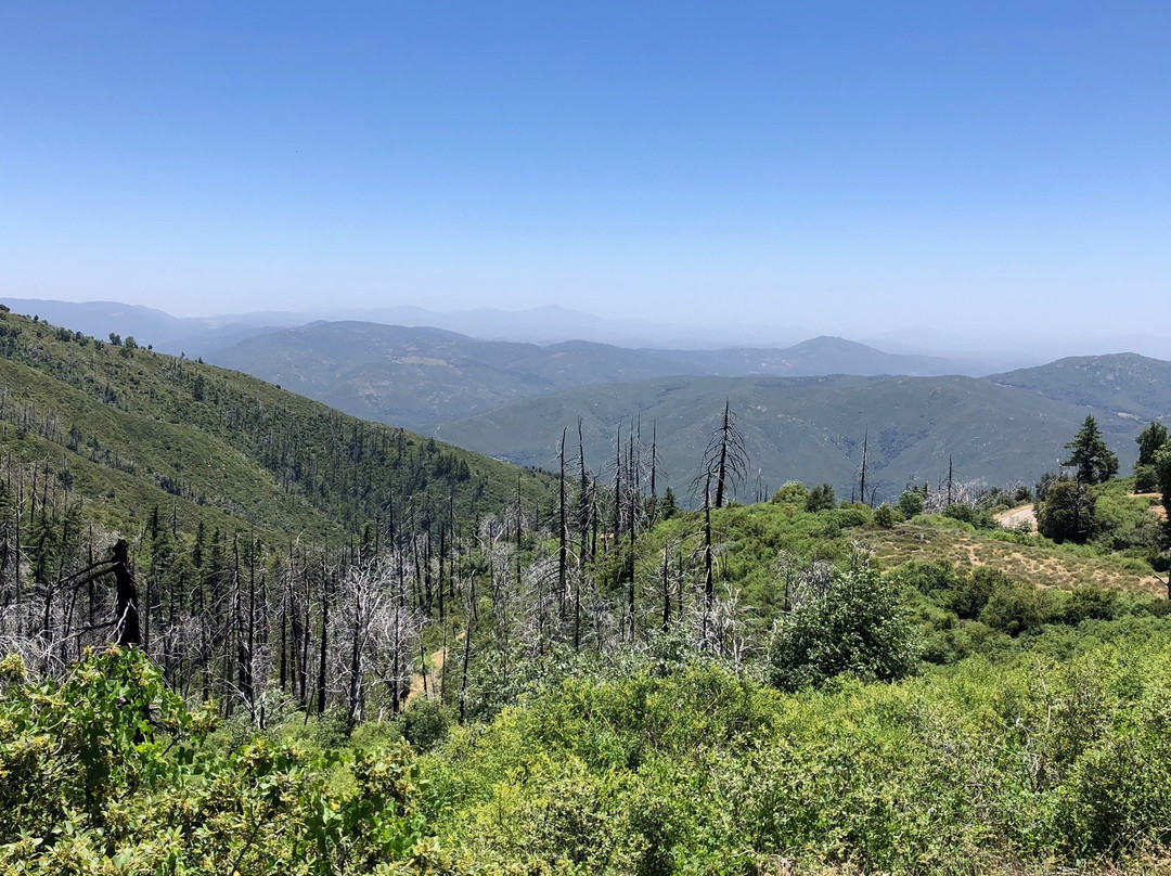 Palomar Mountain State Park景点图片