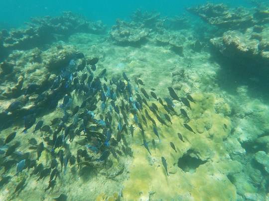 Meagan Busick-吕康必去景点