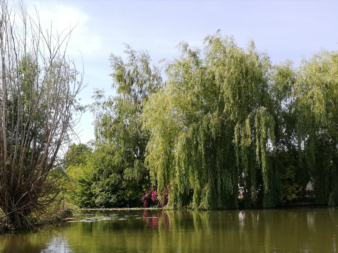L'Audobarquoise景点图片