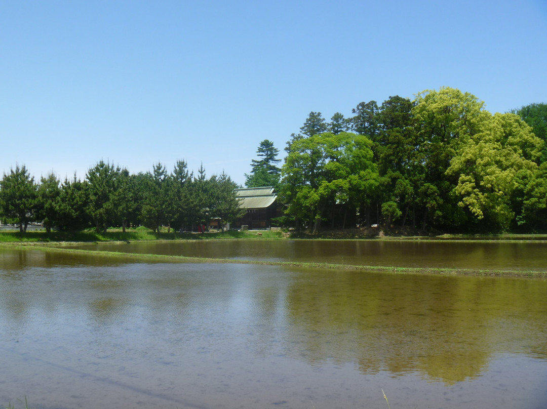 Kayashima Shrine景点图片