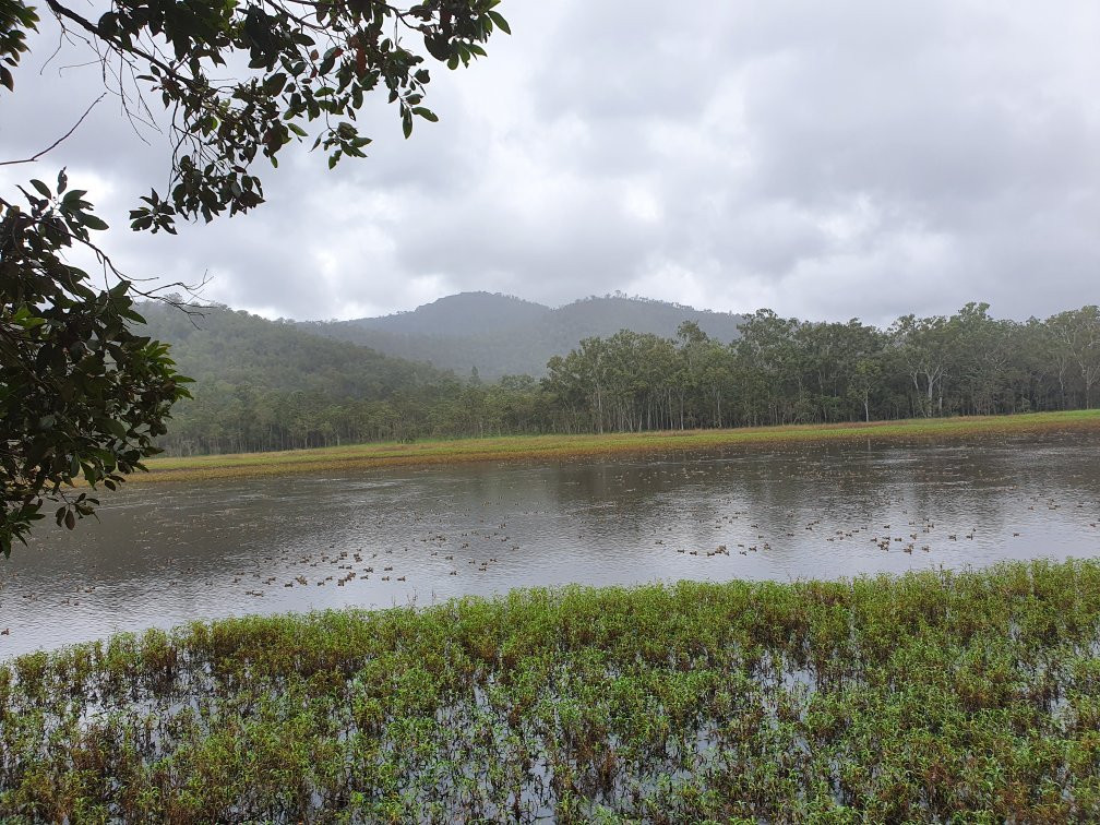 Hasties Swamp National Park- 阿瑟顿必去景点